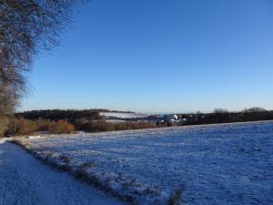 IMG_20251230_093534_ (1).JPG